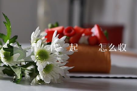 律師代寫起訴書怎么收費的(代寫起訴書收費標準)