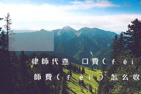 律師代查戶口費(fèi)用是多少(代理律師費(fèi)怎么收取)