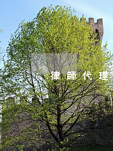 律師代理一審到什么時候結(jié)束