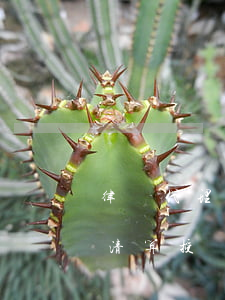 律師代理債務(wù)人破產(chǎn)清算授權(quán)(律師代理債務(wù)人破產(chǎn)清算授權(quán)委托書)