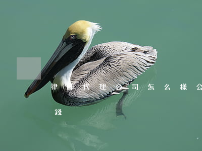 律師代理公司怎么樣(公司代理律師一年多少錢)