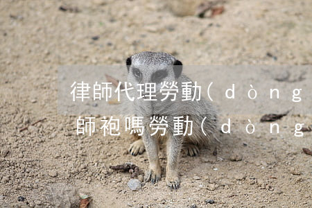 律師代理勞動(dòng)仲裁開庭要穿律師袍嗎(勞動(dòng)仲裁可以請(qǐng)律師代理嗎)