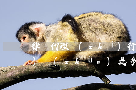 律師代理執(zhí)行收費標(biāo)準(zhǔn)是多少(律師代理費用收取方式及標(biāo)準(zhǔn))