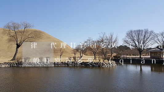 律師代理打官司多少錢(qián)(律師一般打官司多少錢(qián))
