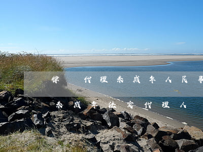 律師代理未成年人民事案件需要什么(刑訴法未成年法定代理人)
