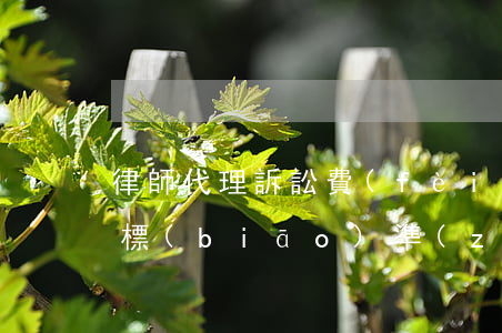 律師代理訴訟費(fèi)收費(fèi)標(biāo)準(zhǔn)(律師代理民事訴訟的收費(fèi)標(biāo)準(zhǔn)是多少)