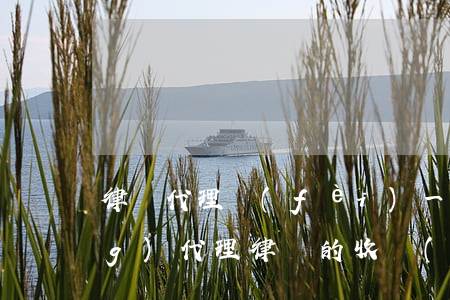 律師代理費(fèi)一般多少(請(qǐng)代理律師的收費(fèi)標(biāo)準(zhǔn)是多少)
