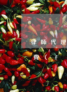 律師代理費(fèi)一般多少錢(律師代理費(fèi)一般多少錢?)