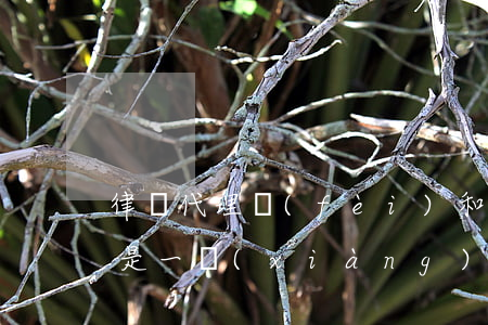 律師代理費(fèi)和訴訟費(fèi)是一項(xiàng)嗎(律師代理費(fèi)和訴訟費(fèi)的區(qū)別)