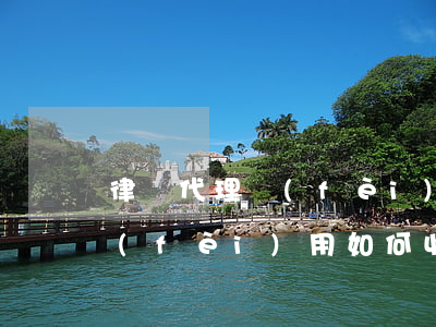 律師代理費(fèi)如何收取(律師代理費(fèi)用如何收取)