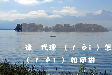 律師代理費(fèi)怎么做賬(律師代理費(fèi)如何做賬)