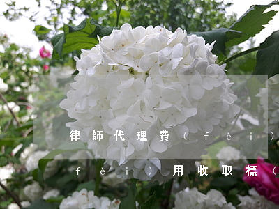 律師代理費(fèi)怎么收(代理律師費(fèi)用收取標(biāo)準(zhǔn))