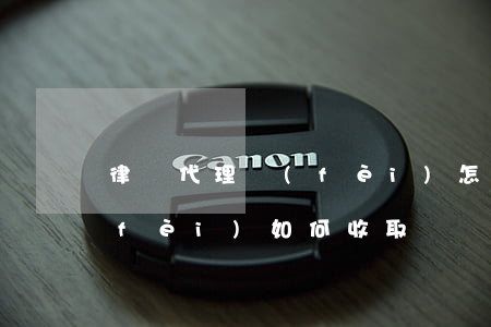 律師代理費(fèi)怎么收(律師代理費(fèi)如何收取)