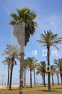 律師代理費(fèi)是否由敗訴方承擔(dān)(律師費(fèi)用是否由敗訴方承擔(dān))