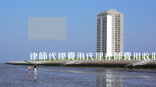 律師代理費用(代理律師費用收取標準)