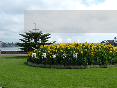 律師代理費用怎么收取的(一般律師的代理費用是多少錢)