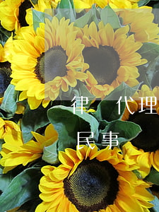 律師代理起訴費(fèi)用多少(律師代理民事訴訟的收費(fèi)標(biāo)準(zhǔn)是多少)