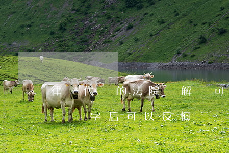 律師代簽的法院調解書可以反悔嗎(法院調解書簽字后可以反悔嗎)