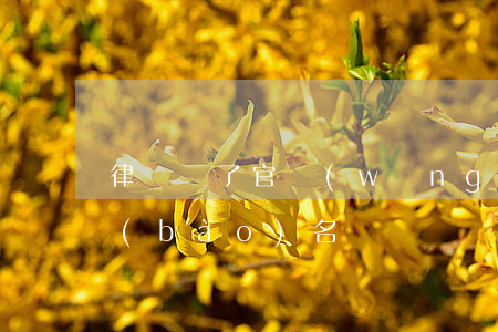 律師來了官網(wǎng)(律師來了怎么報(bào)名)