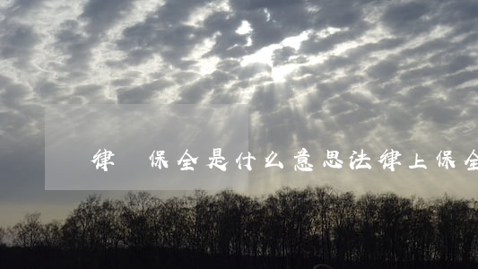 律師保全是什么意思(法律上保全什么意思)