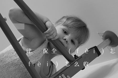 律師保全費(fèi)怎么收(律師保全費(fèi)怎么收)