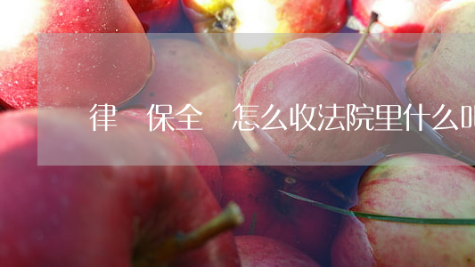 律師保全費怎么收(法院里什么叫保全費)