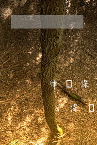 律師保函費(fèi)進(jìn)什么科目(保險(xiǎn)公司出保函怎么收費(fèi))