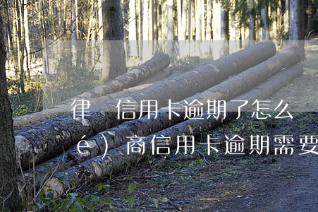 律師信用卡逾期了怎么處理(找律師協(xié)商信用卡逾期需要多少錢)