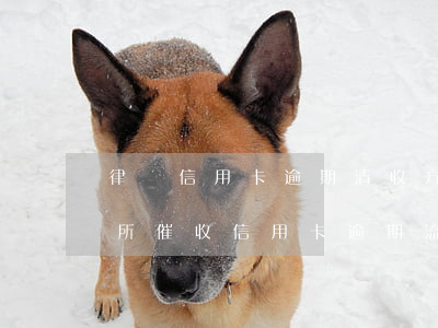 律師信用卡逾期清收方案(律師事務(wù)所催收信用卡逾期流程)
