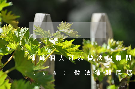 律師個人可以做法律顧問嗎(個人可以給企業(yè)做法律顧問嗎)