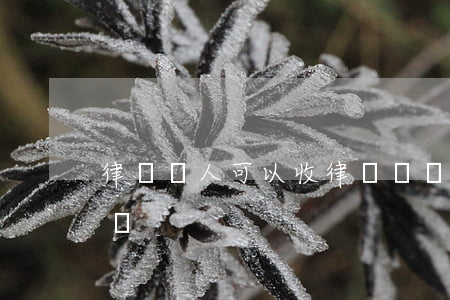 律師個人可以收律師費嗎(律師個人收費違法嗎)