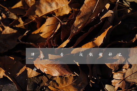 律師偵查階段能做什么(偵查階段律師可以做什么)