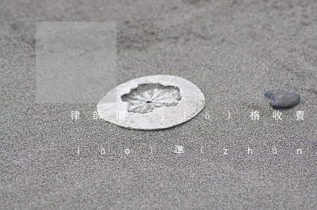 律師價(jià)格收費(fèi)標(biāo)準(zhǔn)(律師收費(fèi)辦法及收費(fèi)標(biāo)準(zhǔn))