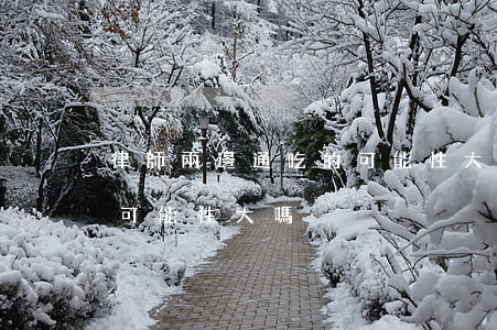 律師兩邊通吃的可能性大嗎(律師兩邊通吃的可能性大嗎)