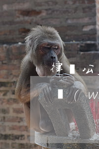 律師公益法律服務(wù)(律師公益法律服務(wù)活動心得體會)