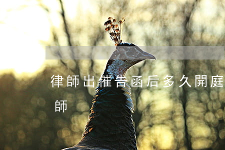 律師出催告函后多久開庭(開庭前多久通知律師)