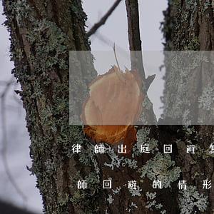 律師出庭回避怎么辦(要求對(duì)方律師回避的情形)