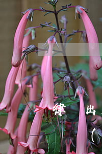 律師出庭辯護(hù)一次多少錢(律師出庭辯護(hù)一次多少錢)