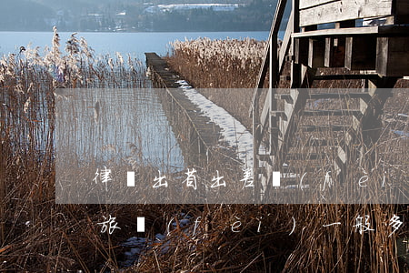 律師出省出差費(fèi)多少(律師一天差旅費(fèi)一般多少)