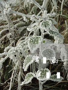 律師函一定要回復(fù)嗎(律師函一定要律師發(fā)嗎)