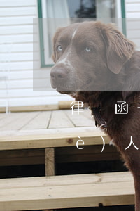 律師函一定要律師發(fā)嗎(律師個(gè)人能發(fā)律師函嗎)
