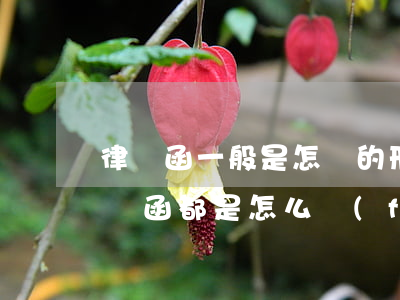 律師函一般是怎樣的形式發(fā)給你(律師函都是怎么發(fā)送的)