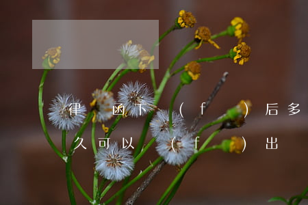 律師函下發(fā)后多少日起訴(律師函多久可以發(fā)出)