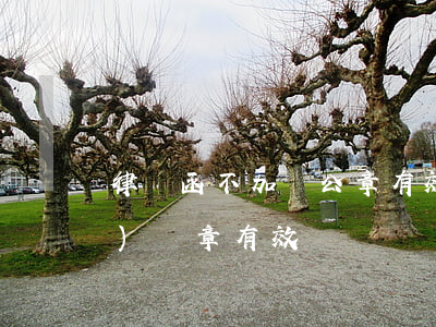 律師函不加蓋公章有效嗎(律師函沒(méi)蓋章有效嗎)