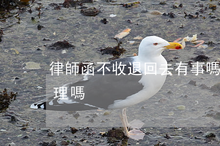律師函不收退回去有事嗎(收到律師函可以不理嗎)