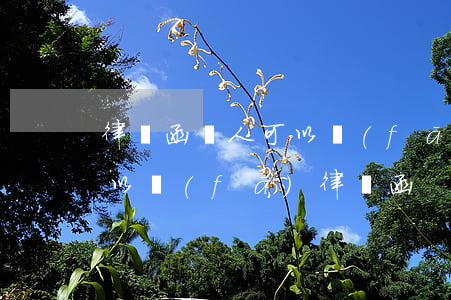 律師函個人可以發(fā)出嗎(什么情況可以發(fā)律師函)