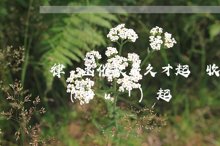 律師函催款多久才起訴(收到催款律師函多久會(huì)起訴)