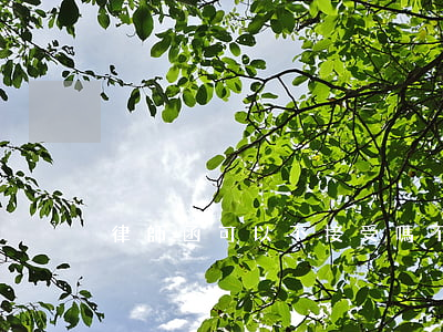 律師函可以不接受嗎(不去拿律師函可以么)