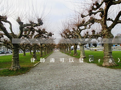 律師函可以發(fā)電子版嗎