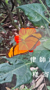 律師函外面的信封是什么樣的(律師信函是怎樣寄送的)